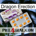 Dragon Erection new12